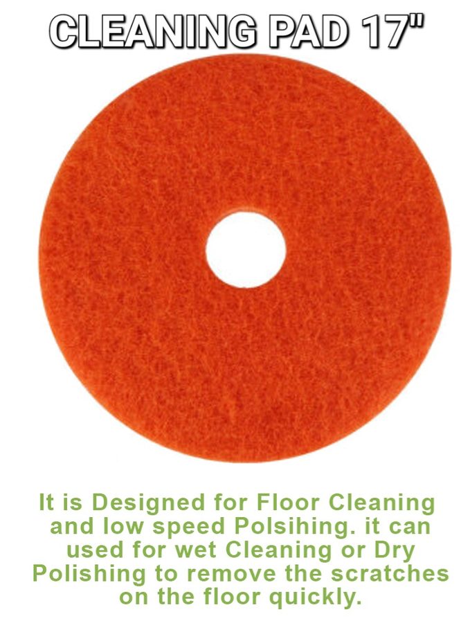 Cleaning Pad 17