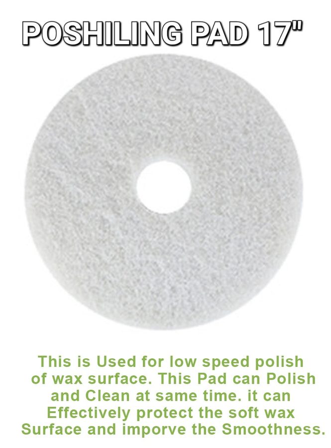 Polishing Pad 17